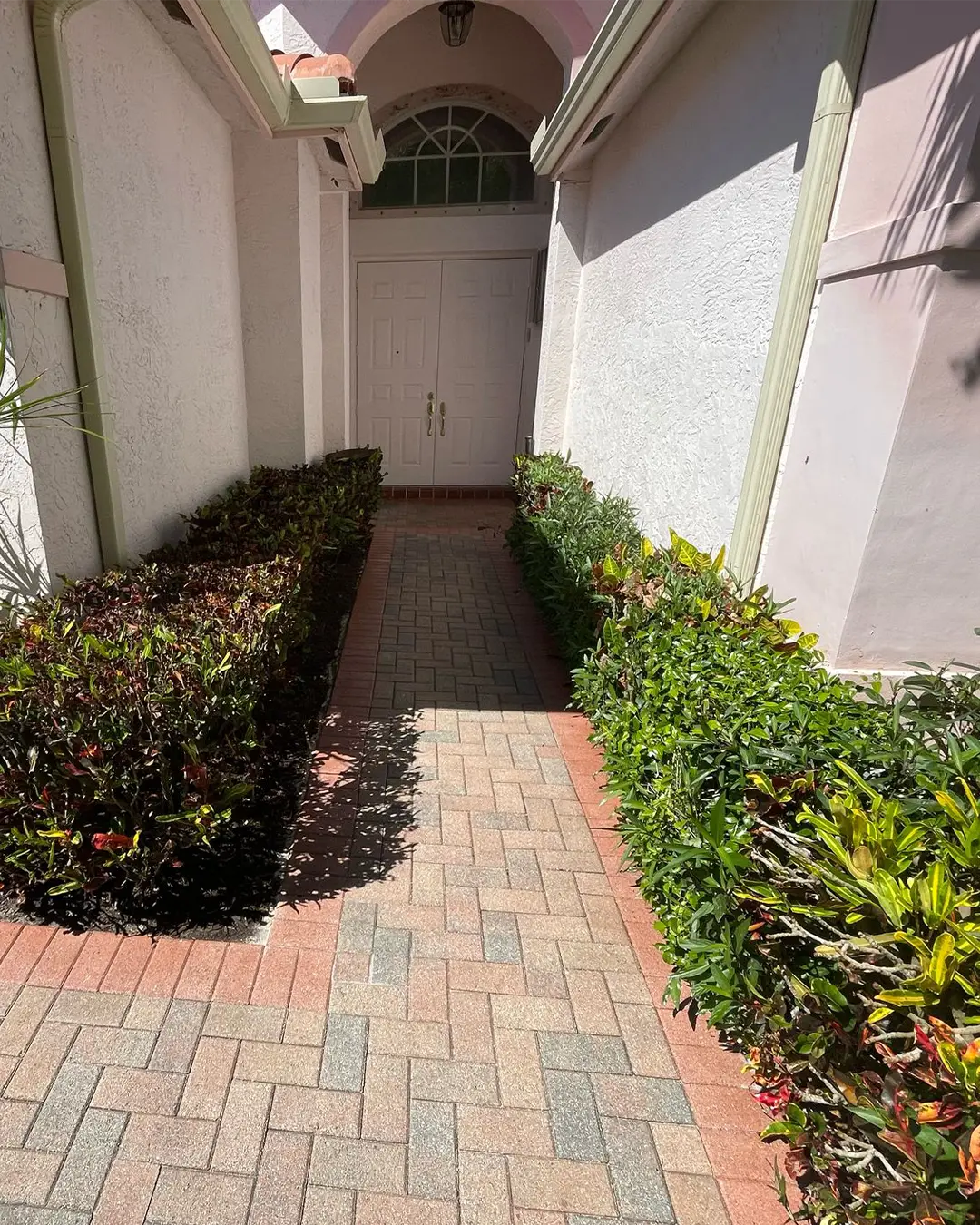 Patio cleaning after